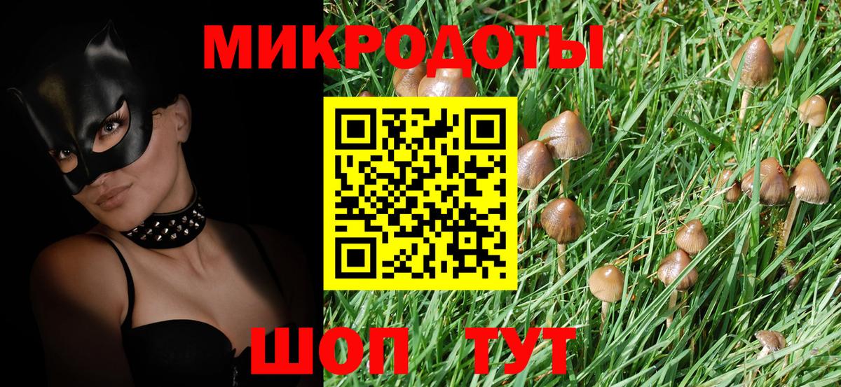 Кыштым  Галлюциногенные грибы Psilocybe  Вход с VPN  Псилоцибиновые грибы ЛСД 