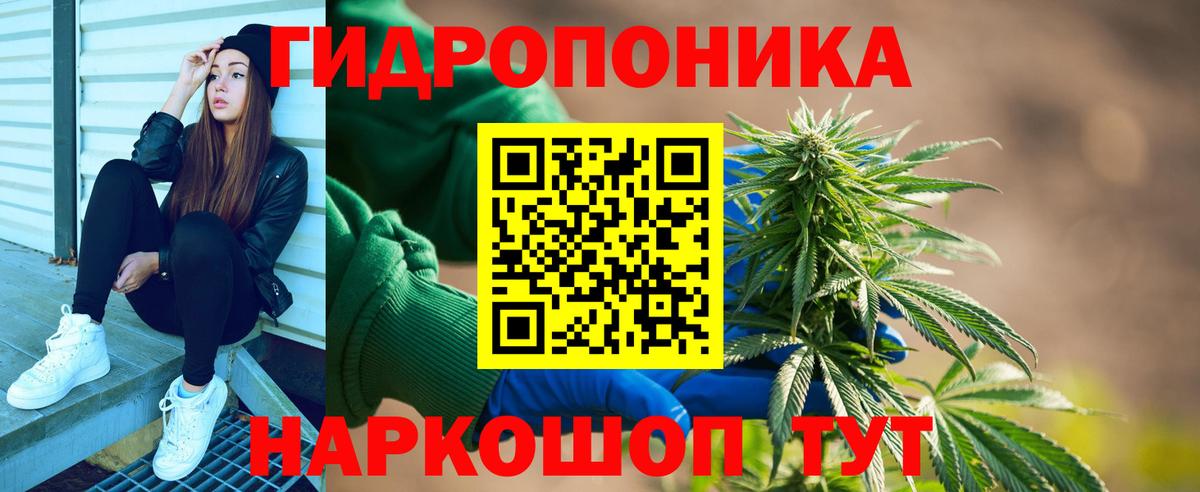 Конопля гибрид  Вход с VPN  Марихуана Amnesia  Марихуана конопля  Бошки марихуана OG Kush  Кыштым 